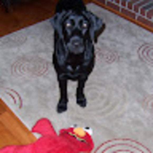 Meet your Posher, Elizabeth - Picture 1 of 1